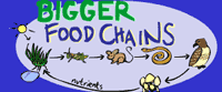 bigger food chains